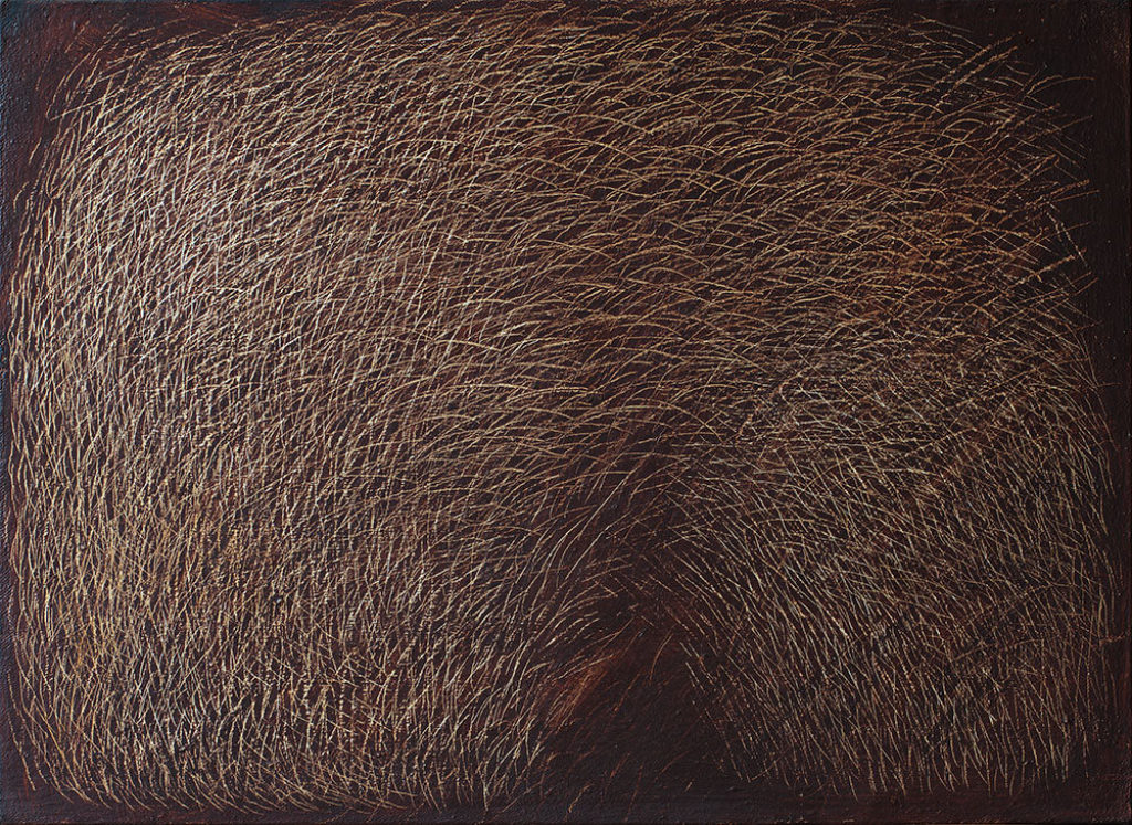 Mario Deluigi 13 grattage marrone