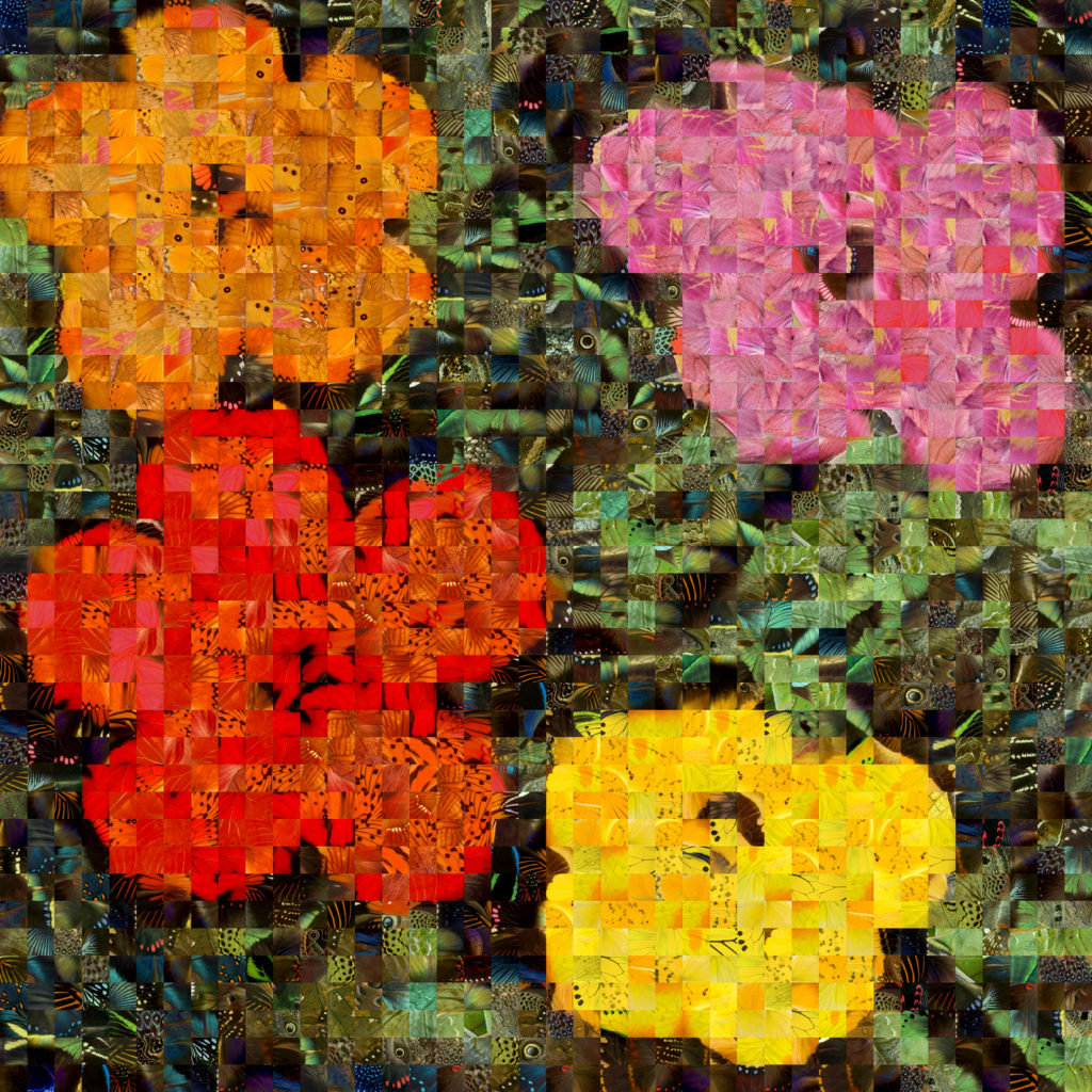 Andrea Morucchio 6 Hibiscus 01 warhol low