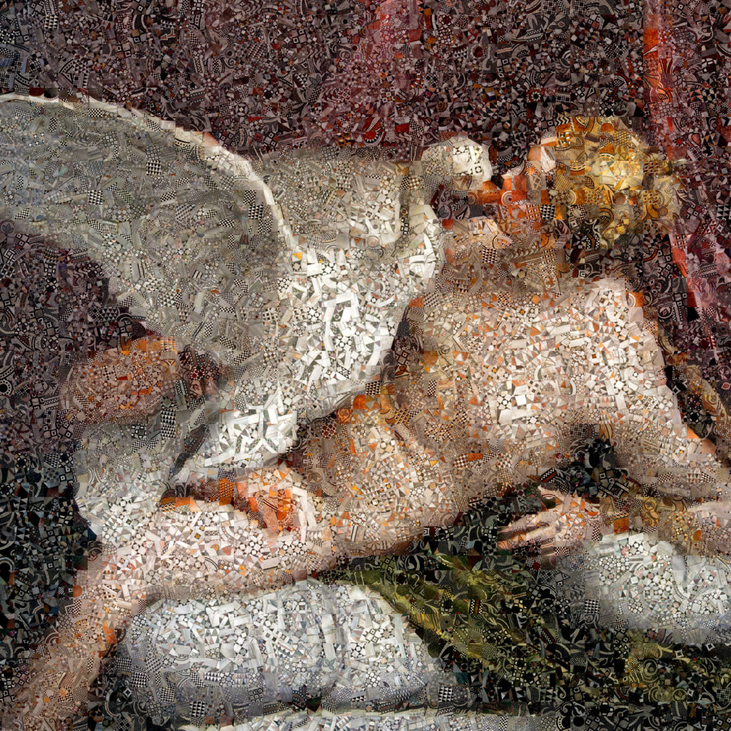Andrea Morucchio 14 VERONESE LEDA CIGNO 15x