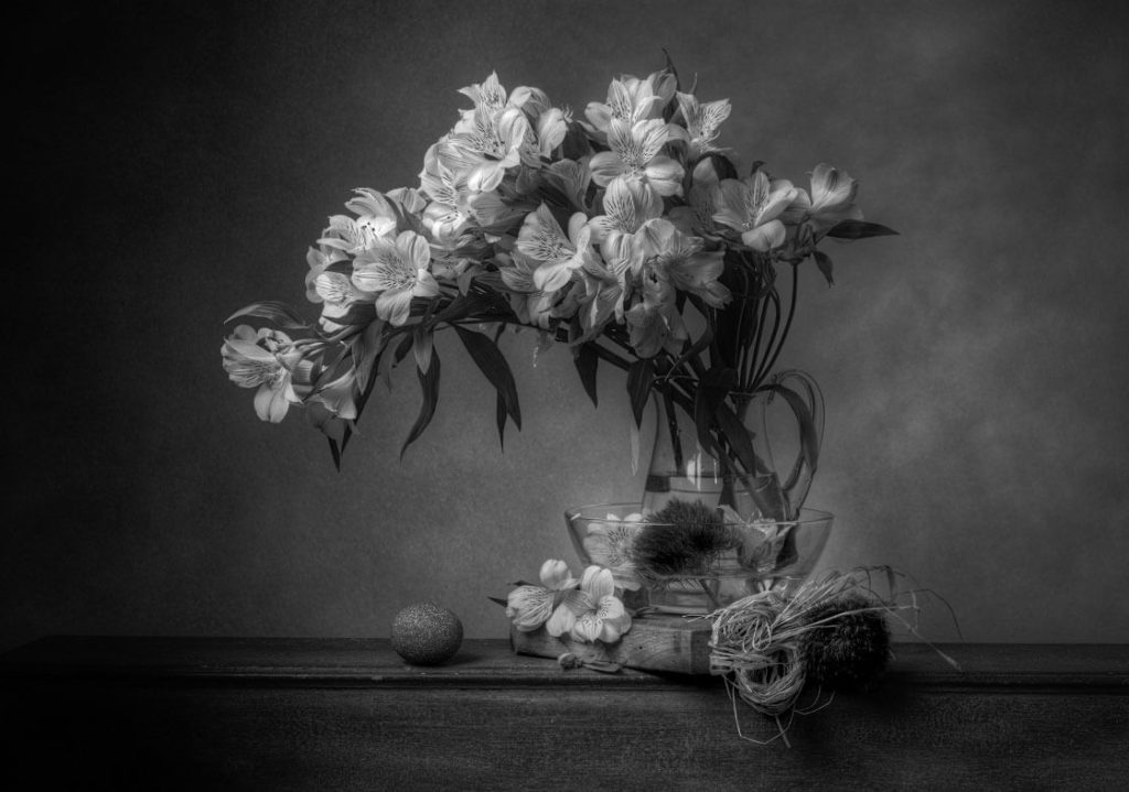 Christopher Broadbent 17 alstomeria