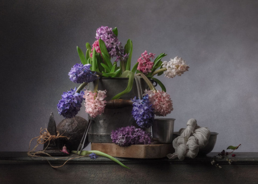 Christopher Broadbent 10 hyacinthus