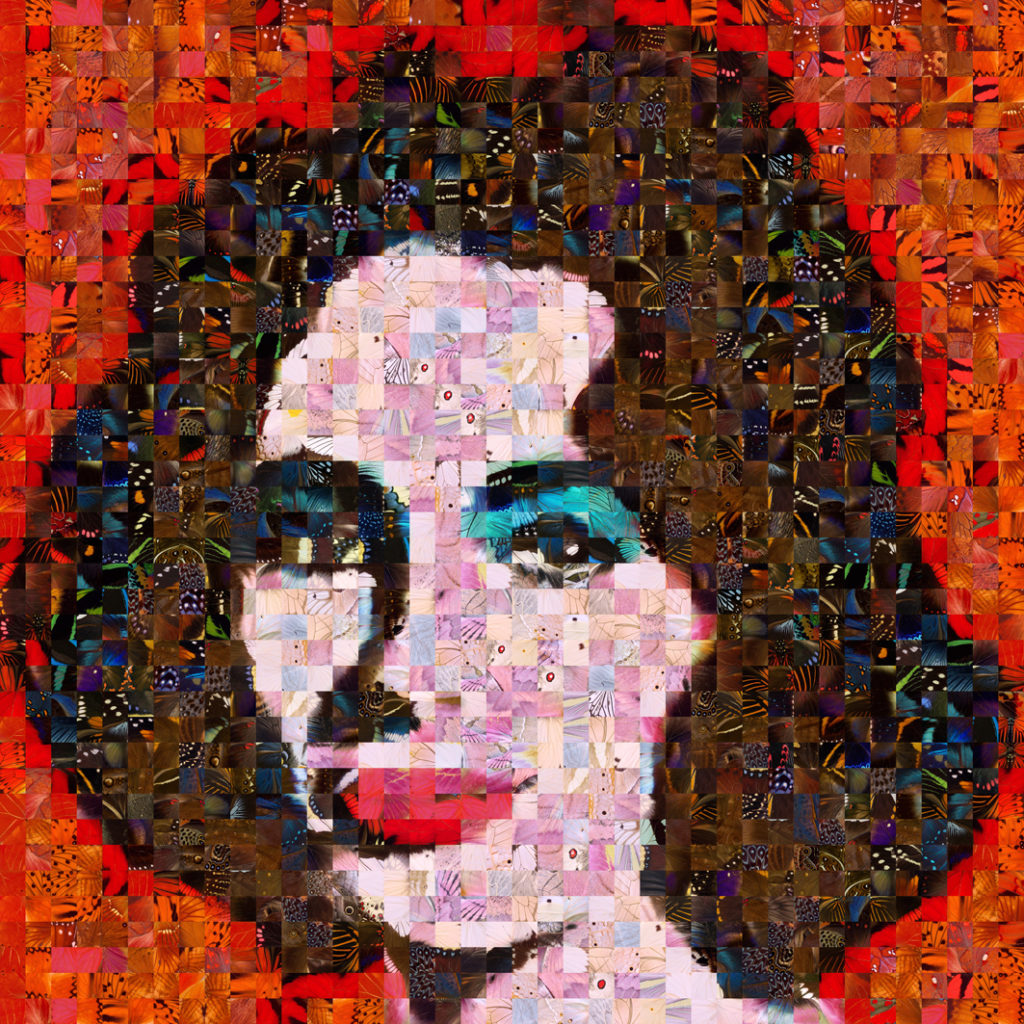 Andrea Morucchio 5 liz warhol lowx