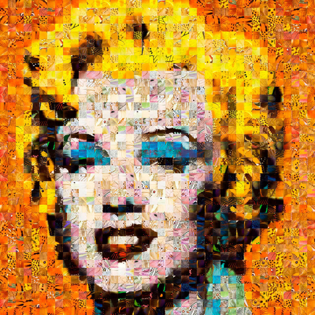 Andrea Morucchio 10 marilyn